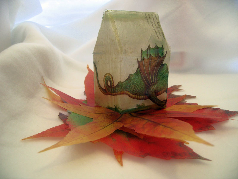 Ice-resin paper home