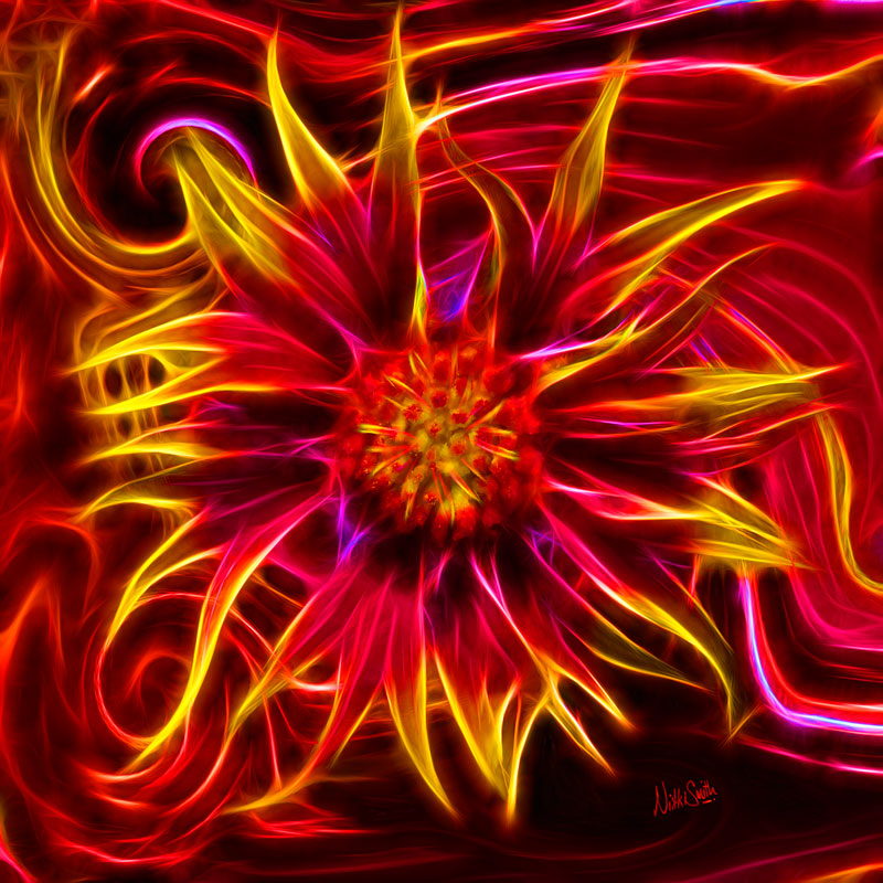 Electric Firewheel by Nikki Smith